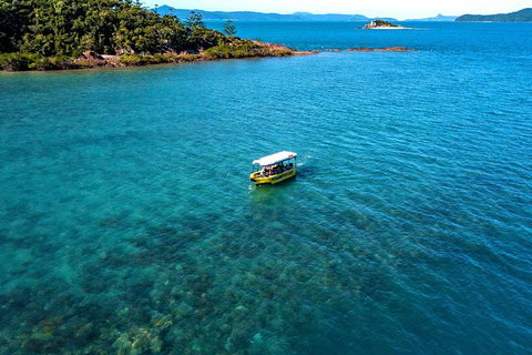 Airlie Beach Glass Bottom Boat Tour - Holiday Adelaide 8