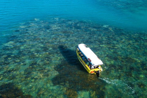 Airlie Beach Glass Bottom Boat Tour - Holiday Adelaide 9