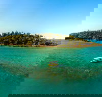 Airlie Beach Glass Bottom Boat Tour