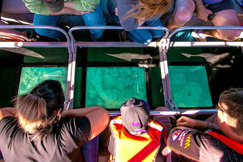 Airlie Beach Glass Bottom Boat Tour - Holiday Adelaide 4