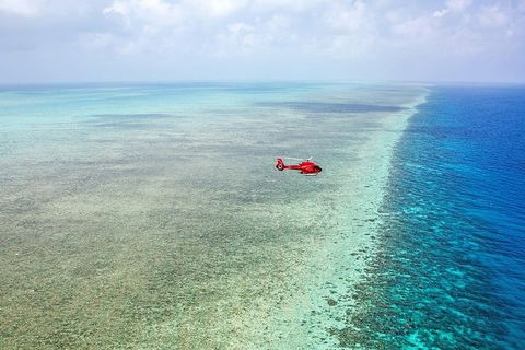 Ultimate Great Barrier Reef And Rainforest 45-minute Helicopter Tour - Holiday Adelaide 5