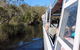 Noosa Everglades Serenity Cruise & Highlights Tour Inc. Lunch & Cruise - thumb 10