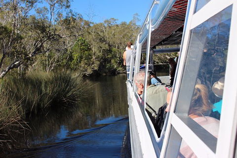 Noosa Everglades Serenity Cruise & Highlights Tour Inc. Lunch & Cruise - Holiday Adelaide 10