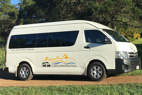 Noosa Everglades Serenity Cruise & Highlights Tour Inc. Lunch & Cruise - Holiday Adelaide 11