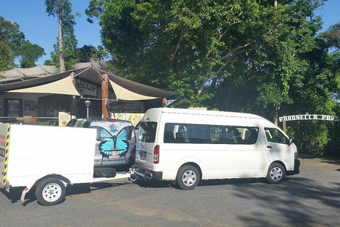 Airport Transfer To Or From Cairns Hotels For Up To 13 People (7am-10pm) - Holiday Adelaide 3