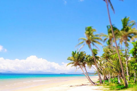 Airport Transfer - Mission Beach To Cairns Airport - Holiday Adelaide 3