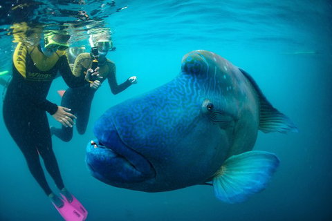 2Day 2Night Sail, Snorkel & SUP Adventure Whitsundays Double - Holiday Adelaide 9