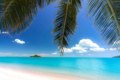 Reef, Wildlife & Rainforest - Reef & Beyond Guided Holidays - Holiday Adelaide 4