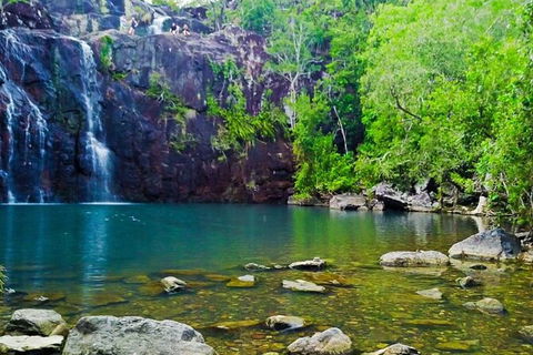 Reef, Wildlife & Rainforest - Reef & Beyond Guided Holidays - Holiday Adelaide 0