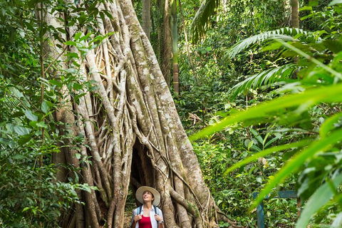 Reef, Wildlife & Rainforest - Reef & Beyond Guided Holidays - Holiday Adelaide 2