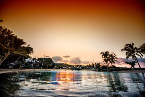 Reef, Wildlife & Rainforest - Reef & Beyond Guided Holidays - Holiday Adelaide 6