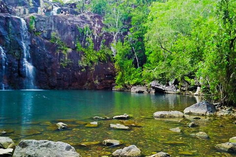 Rainforest To Reef Experience - Reef And Beyond Guided Holidays - Holiday Adelaide 5