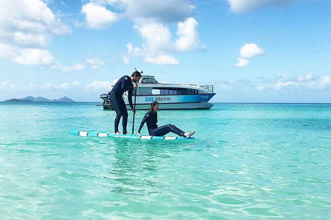 Rainforest To Reef Experience - Reef And Beyond Guided Holidays - Holiday Adelaide 3