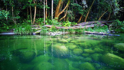 Cairns Adventure Package- 4 Tours In 3 Days! - Holiday Adelaide 6