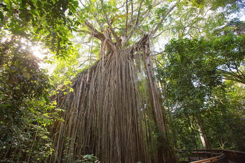 Cairns Adventure Package- 4 Tours In 3 Days! - Holiday Adelaide 2