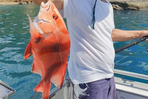 Adventure Fishing Combo Day - Fish, Swim, Whitehaven, Hill Inlet Bush Walking - Holiday Adelaide 2