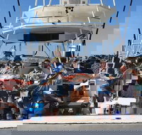 Adventure Fishing Combo Day - Fish Swim Whitehaven Hill Inlet Bush Walking