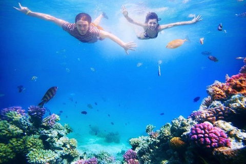 Adventure Fishing Combo Day - Fish, Swim, Whitehaven, Hill Inlet Bush Walking - Holiday Adelaide 5