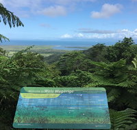 Daintree Luxury Limousine Tour - Full Day