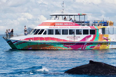 Half-Day Whale Watching In Urangan - Holiday Adelaide 1