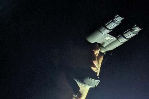 Nature By Night - Holiday Adelaide 3