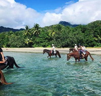 Afternoon Beach Horse Ride in Cape Tribulation
