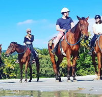 Mid-Morning Beach Horse Ride in Cape Tribulation with Pick Up