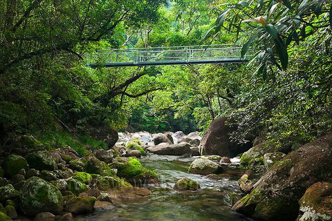 SHUTTLE - Mossman Gorge & Cooya Beach From Port Douglas (Return Transfer) - Holiday Adelaide 4
