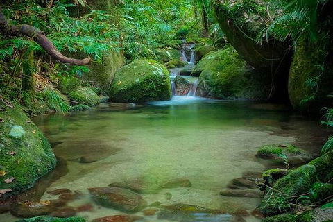 SHUTTLE - Mossman Gorge & Cooya Beach From Port Douglas (Return Transfer) - Holiday Adelaide 2