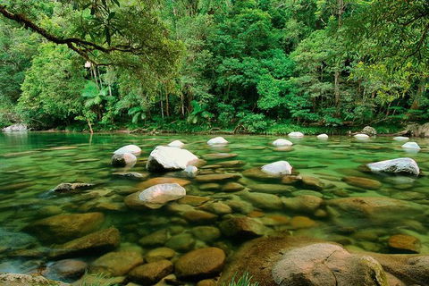 SHUTTLE - Mossman Gorge & Cooya Beach From Port Douglas (Return Transfer) - Holiday Adelaide 3