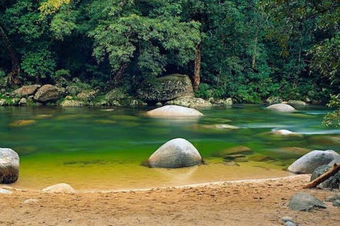 SHUTTLE - Mossman Gorge & Cooya Beach From Port Douglas (Return Transfer) - Holiday Adelaide 1