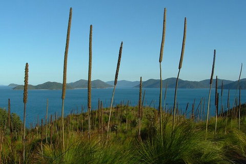 7-Day Private Sea Kayaking In Whitsundays - Holiday Adelaide 8
