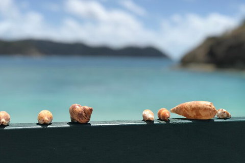 7-Day Private Sea Kayaking In Whitsundays - Holiday Adelaide 1