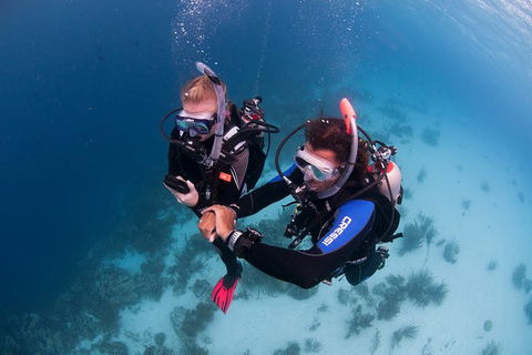PADI Diving Courses On The Gold Coast - Holiday Adelaide 5