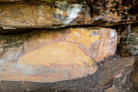 Half Day Aboriginal Rock Art Experience In Queensland - Holiday Adelaide 3