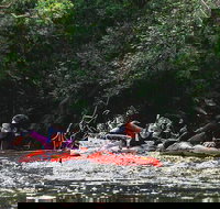 Mossman Gorge Adventure Day
