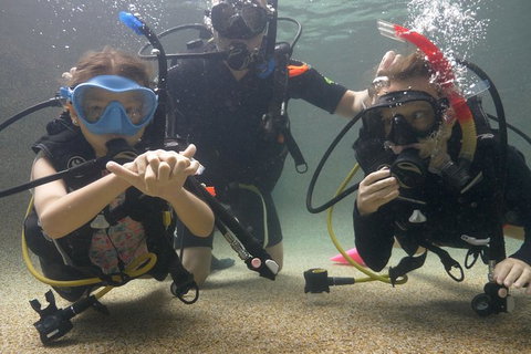 Scuba Kids- Padi Bubblemaker Course - Holiday Adelaide 4