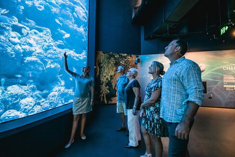 Cairns Aquarium By Twilight With 3 Course Dinner - Holiday Adelaide 0