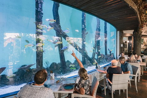 Cairns Aquarium By Twilight With 3 Course Dinner - Holiday Adelaide 1