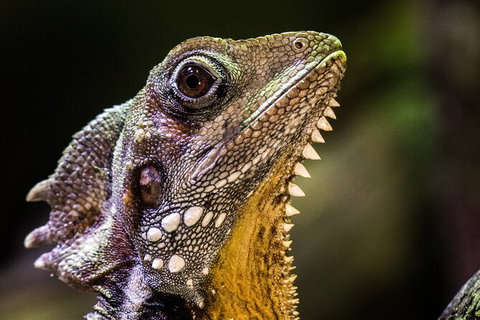 Cairns Aquarium By Twilight With 3 Course Dinner - Holiday Adelaide 5