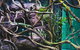 Cairns Aquarium By Twilight With 3 Course Dinner - thumb 8