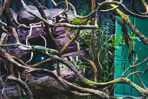 Cairns Aquarium By Twilight With 3 Course Dinner - Holiday Adelaide 8
