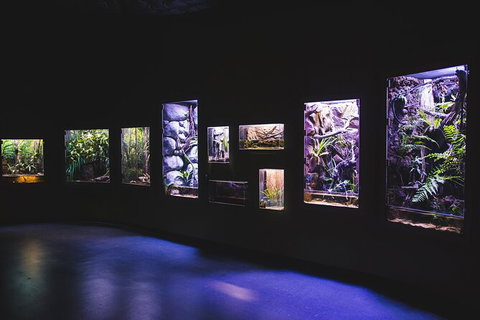 Cairns Aquarium By Twilight With 3 Course Dinner - Holiday Adelaide 3