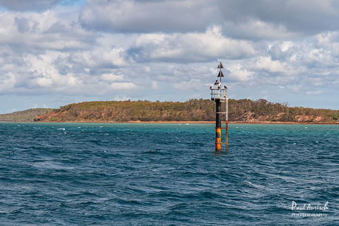 Sandy Straits Scenic & Wildlife Cruise - Holiday Adelaide 6