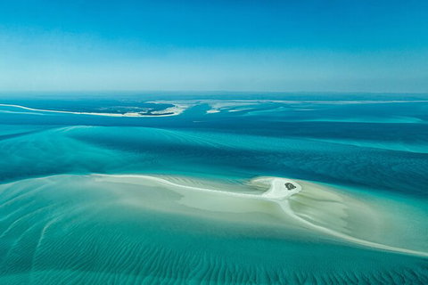 Sandy Straits Scenic & Wildlife Cruise - Holiday Adelaide 5