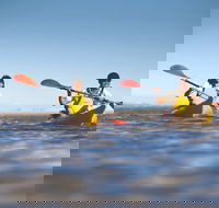 Kangaroo Island Self-Guided Kayaking on the Harriet River - Holiday Adelaide