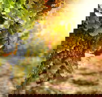 Kangaroo Island Half Day Food and Wine Trail Tour - Holiday Adelaide