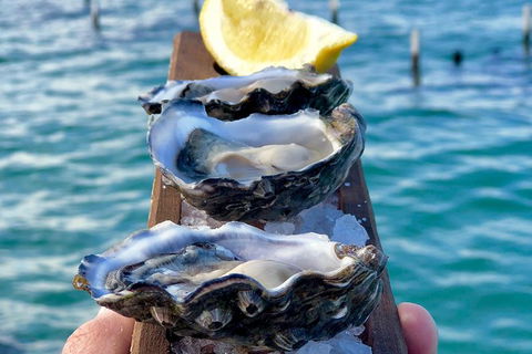 Coffin Bay Oysters, Ocean & Nature Tour - Holiday Adelaide 0