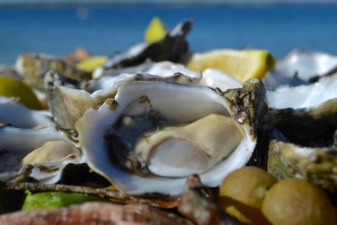 Coffin Bay Oysters, Ocean & Nature Tour - Holiday Adelaide 8