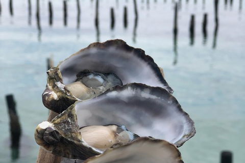 Coffin Bay Oysters, Ocean & Nature Tour - Holiday Adelaide 6